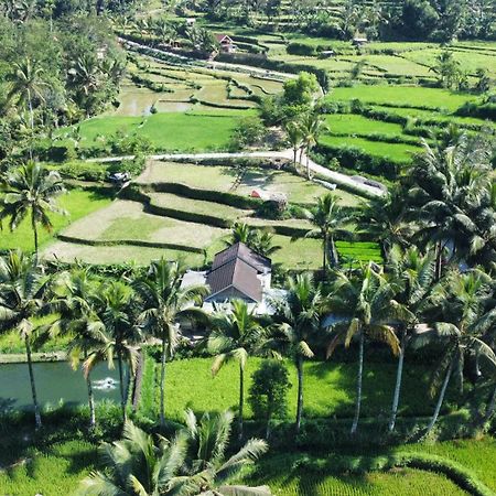 Sarang Walet Homestay Tetebatu Exterior foto