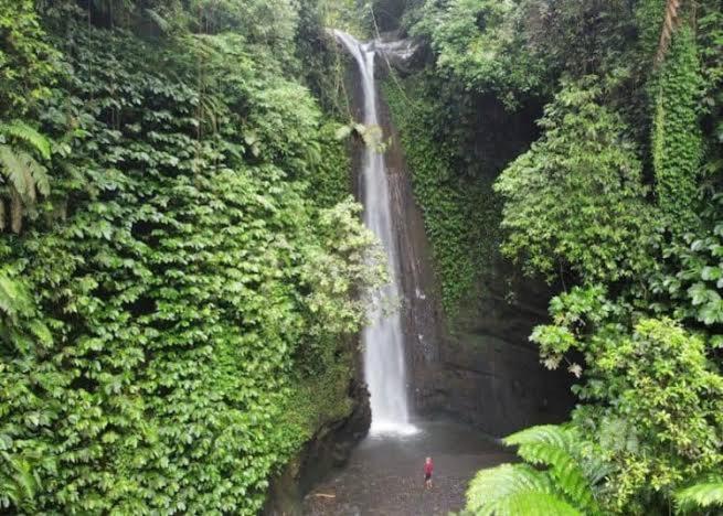 Sarang Walet Homestay Tetebatu Exterior foto