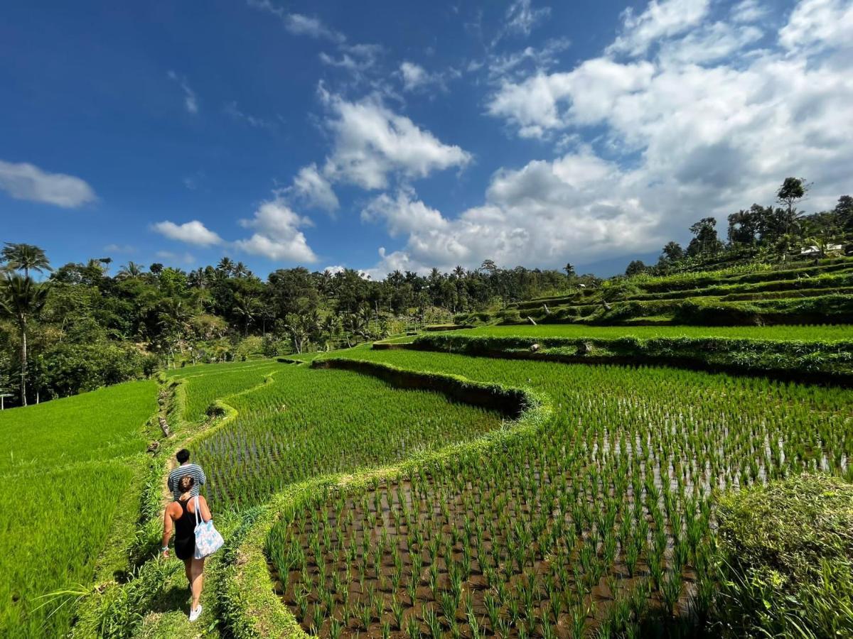 Sarang Walet Homestay Tetebatu Exterior foto
