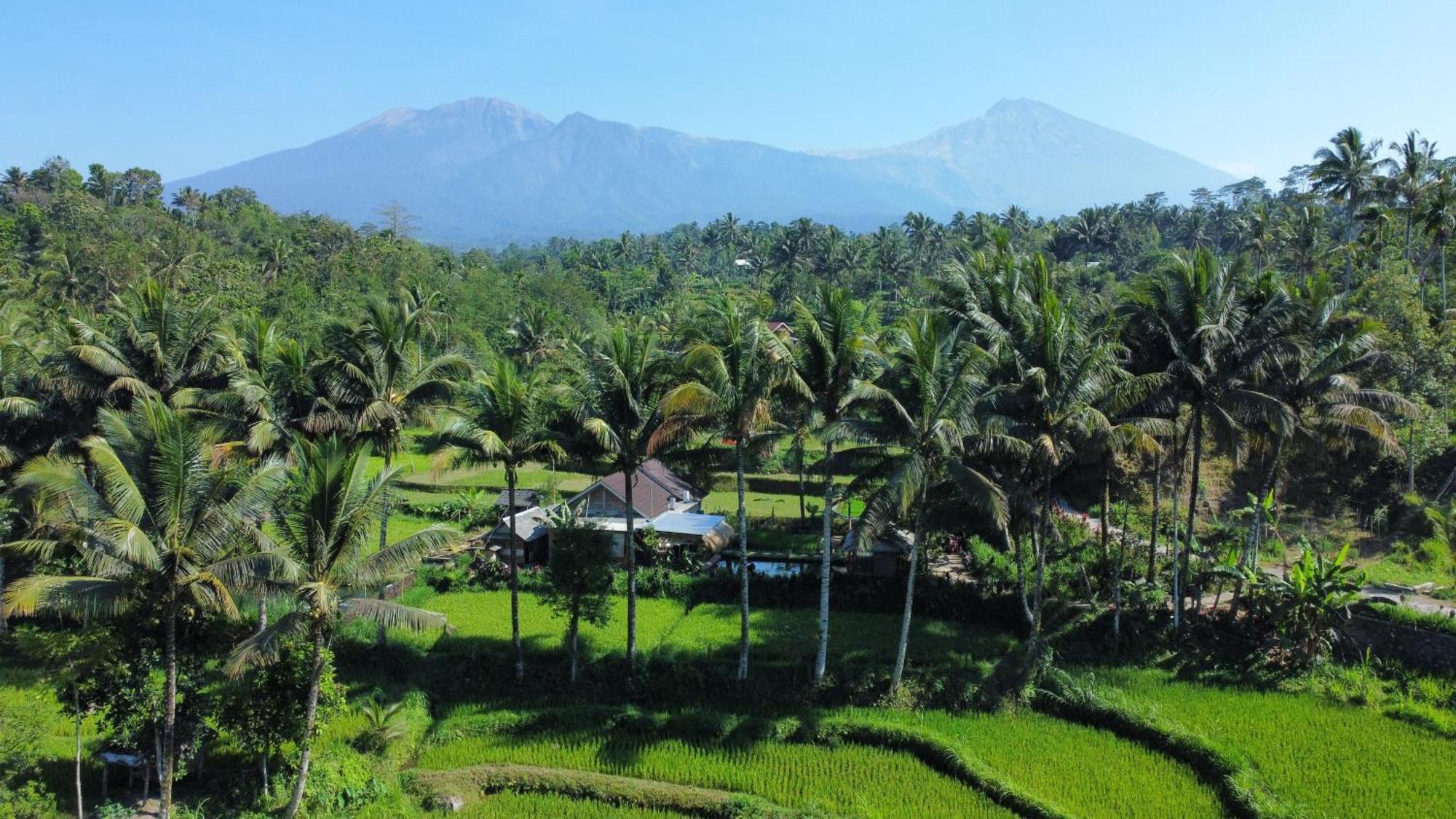 Sarang Walet Homestay Tetebatu Exterior foto