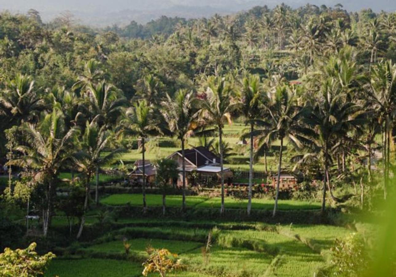 Sarang Walet Homestay Tetebatu Exterior foto