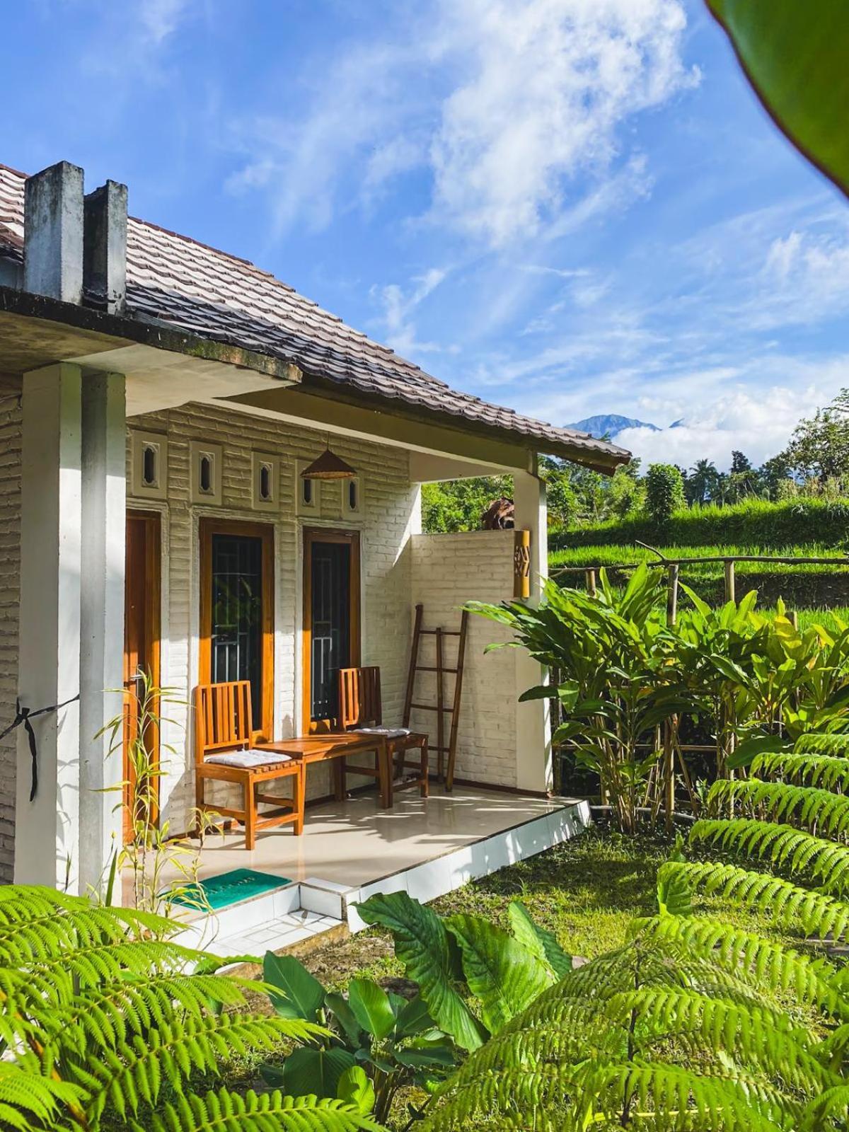 Sarang Walet Homestay Tetebatu Exterior foto